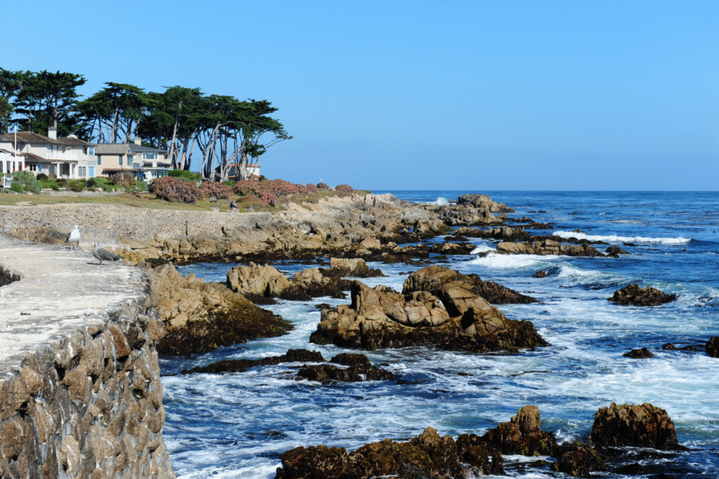 Stay at These Beach Hotels in Monterey for Comfort, Views, and Location Beach Hotels in Monterey