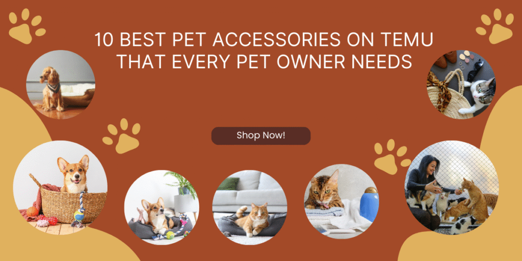 10 Best Pet Accessories on Temu That Every Pet Owner Needs