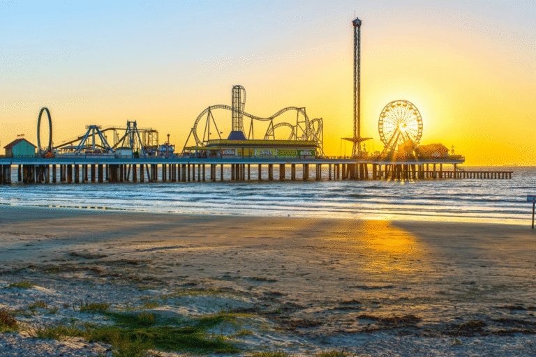Places to Visit in Houston