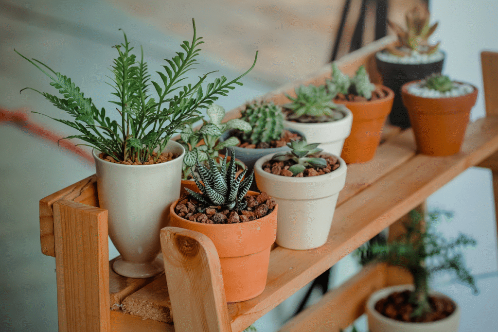 Plant Pots Brighten Interiors And Support Healthy Growth plant pots