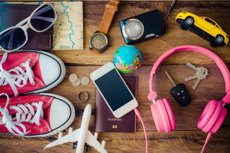 Travel Accessories