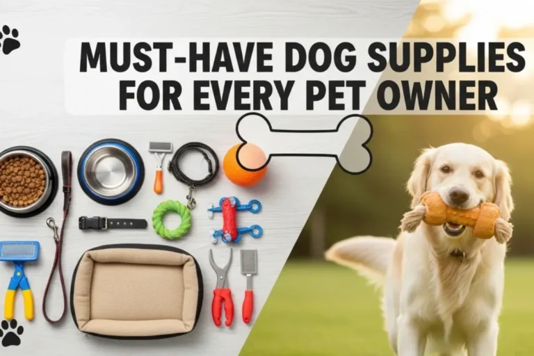 Dog Supplies
